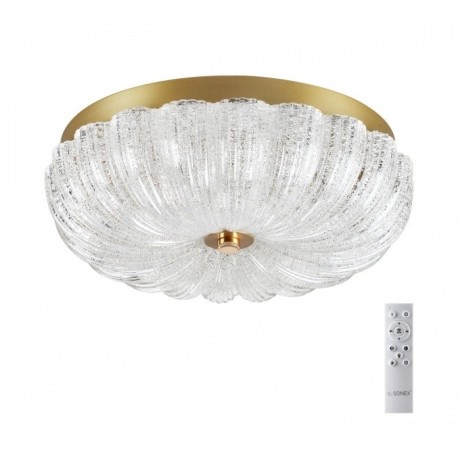 Потолочный светильник TESORO 7719/36L