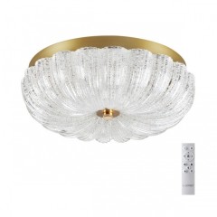 Потолочный светильник TESORO 7719/36L