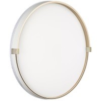 Светильник Sonex LED 48Вт 3000/4000/6000К D390 IP43 CCT OLIDI WHITE 7646/DLN