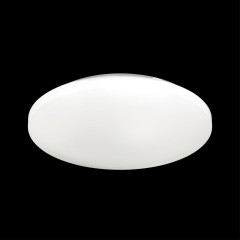 Настенно-потолочный светильник Sonex 3017/CL SIMPLE IP43 светодиодный LED 30W
