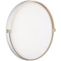 Светильник Sonex LED 76Вт 3000/4000/6000К D490 IP43 CCT OLIDI WHITE 7646/ELN