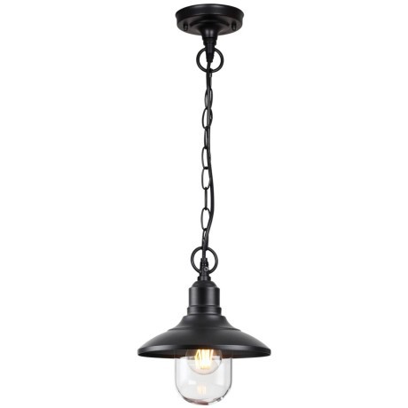 Уличный подвесной светильник Odeon Light 4965/1 CAMPA IP44 под лампу 1xE27 1*60W