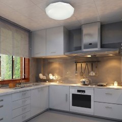 Настенно-потолочный светильник Sonex 2012/D TORA IP43 светодиодный LED 48W