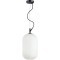 Подвесной светильник с 1 плафоном Odeon Light 4751/1 ROOFI под лампу 1xE27 60W