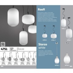 Подвесной светильник с 1 плафоном Odeon Light 4752/1 ROOFI под лампу 1xE27 60W