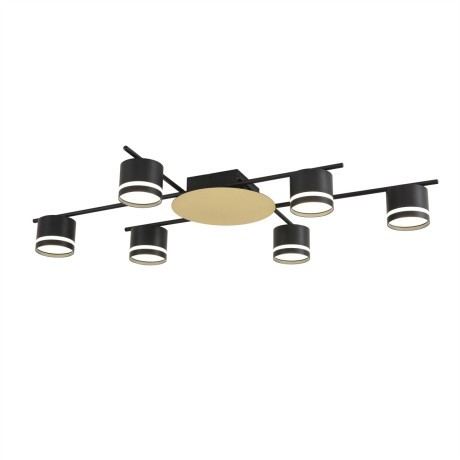 Светильник потолочный GX53 LED 6*7W LUMION BENUA 8304/6C