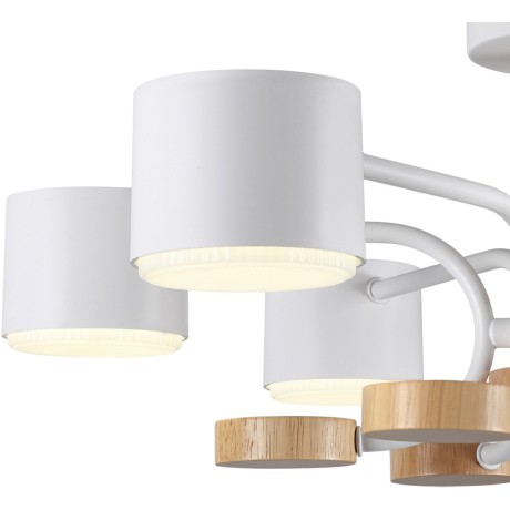 Светильник потолочный GX53 220V Lumion RONDO 8231/6C