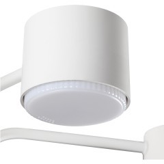 Светильник потолочный GX53 220V Lumion RONDO 8231/6C