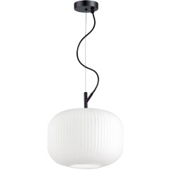 Подвесной светильник с 1 плафоном Odeon Light 4754/1 ROOFI под лампу 1xE27 60W