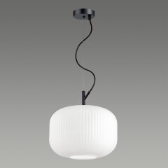 Подвесной светильник с 1 плафоном Odeon Light 4754/1 ROOFI под лампу 1xE27 60W