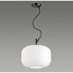 Подвесной светильник с 1 плафоном Odeon Light 4754/1 ROOFI под лампу 1xE27 60W