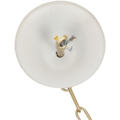 Люстра подвесная E14 8*40W Lumion SUANA 8318/8