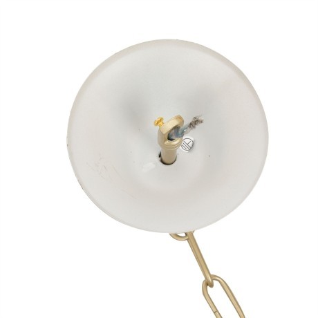 Люстра подвесная E14 12*40W Lumion SUANA 8318/12