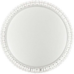 Светодиодный настенно-потолочный светильник с пультом Brisa 2036/FL