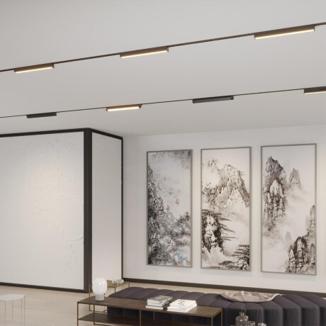 Novotech ITER 359792 Черный однофазный двухжильный трековый светильник длиной 46см, поворотный плафон, с CCT переключением цветовой температуры LED 24Вт 2032Лм CRI≥90 113° 2700-3200-4000К IP20 220V