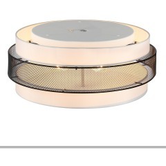 Потолочный светильник Е27 Lumion ANIMAISA 8002/6C