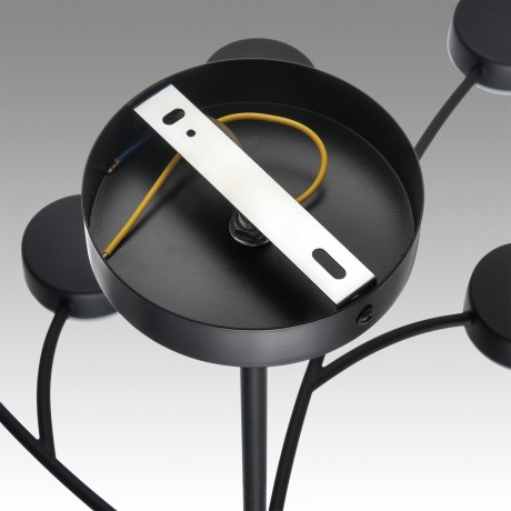 Люстра LED GX53 Lumion TORINA 8117/18