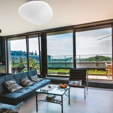 Светодиодный настенно-потолочный светильник с пультом Stone 2039/EL