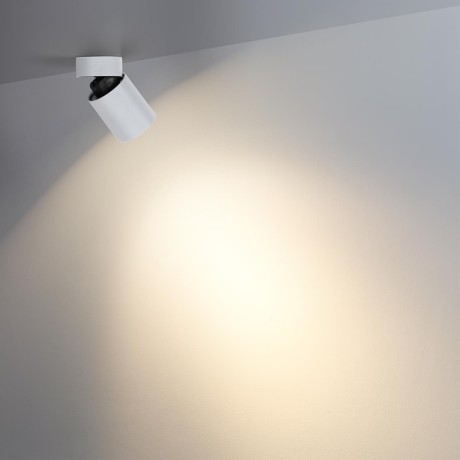 Потолочный светильник IP20 LED 7W 75Лм 3000K 36° TURNO 7133/7CL