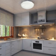 Настенно-потолочный светильник Sonex 2012/CL TORA IP43 светодиодный LED 30W