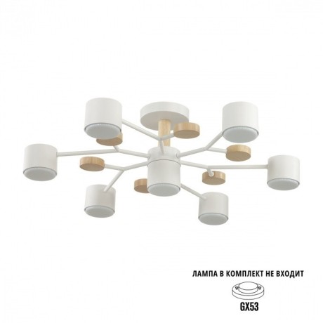 Потолочный светильник GX53 Lumion RONDO 8195/7C