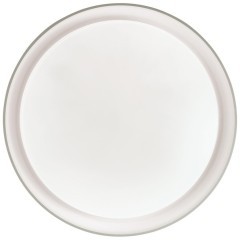 Настенно-потолочный светильник Sonex 3030/DL BIONIC IP43 светодиодный LED 48W