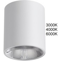 Потолочный светильник IP20 LED 12W 960Лм 3000K/4000K/6000K  36° 220-240V BRIM 7139/12CL