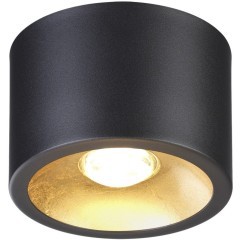 Потолочной накладной светильник Novotech GLASGOW (вместо 3878/1CL) 6669/1CL