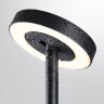 Odeon Light DISC 7189/6GL Ландшафтный уличный светильник с поворотным плафоном из черного матового металла, возможность установки на колышек в землю, IP65 LED 6Вт 3000K CRI80 110° 220В