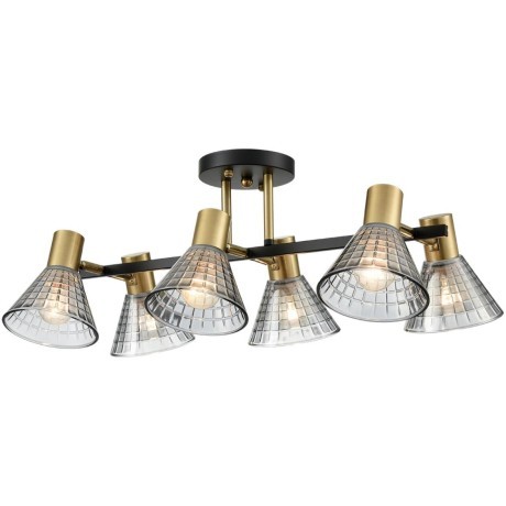 Люстра потолочная Е14 Lumion ANRIYA 8044/6C