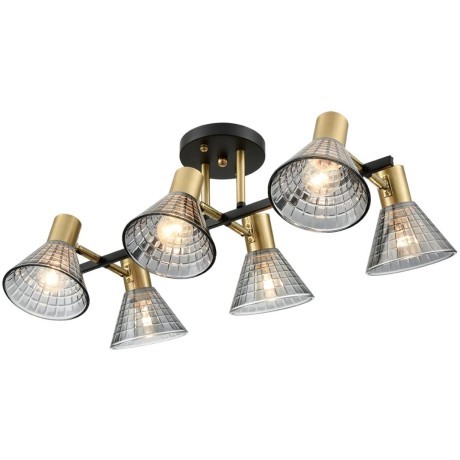 Люстра потолочная Е14 Lumion ANRIYA 8044/6C