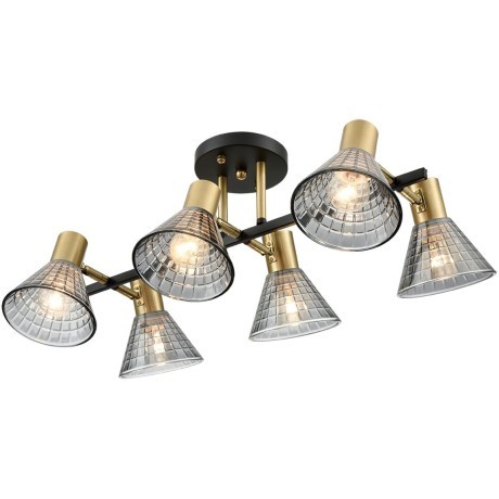 Люстра потолочная Е14 Lumion ANRIYA 8044/6C