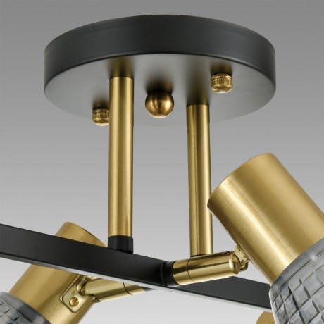 Люстра потолочная Е14 Lumion ANRIYA 8044/6C