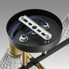 Люстра потолочная Е14 Lumion ANRIYA 8044/6C