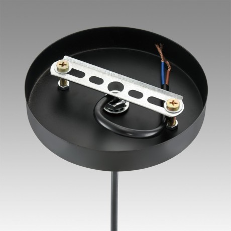 Подвесной светильник E27 Lumion LEONELA 8052/1А