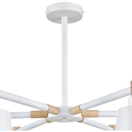 Люстра потолочная Е27 Lumion ROSALINA 8097/6C