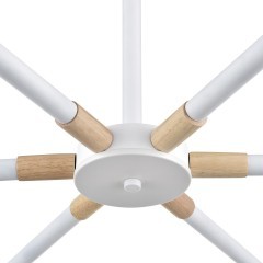 Люстра потолочная Е27 Lumion ROSALINA 8097/6C