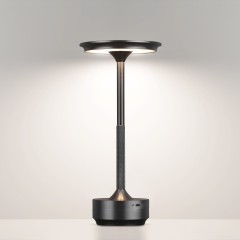 Настольная лампа ODEON LIGHT TET-A-TET 5034/6TL