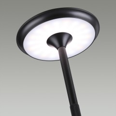 Настольная лампа ODEON LIGHT TET-A-TET 5034/6TL