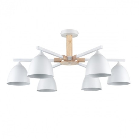 Люстра потолочная Е27 Lumion COLANGE 8095/6C