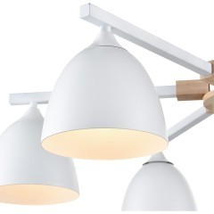 Люстра потолочная Е27 Lumion COLANGE 8095/6C