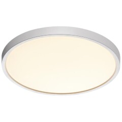 Настенно-потолочный светильник СОНЕКС Sonex ALFA WHITE 7659/24L