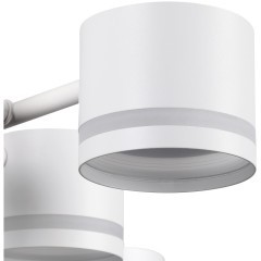 Люстра потолочная GX53 Lumion GARETA 8235/12C