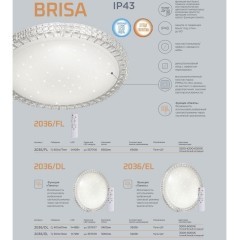 Светодиодный настенно-потолочный светильник с пультом Brisa 2036/EL
