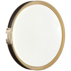 Настенно-потолочный светильник СОНЕКС FAVEMO BLACK 7667/DL