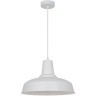 Подвесной светильник с 1 плафоном Odeon Light 3362/1 BITS под лампу 1xE27 60W