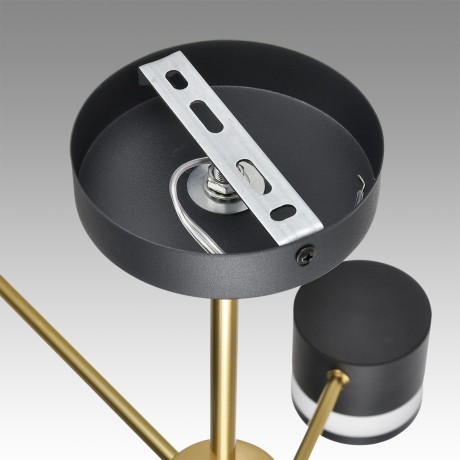 Люстра потолочная GX53 Lumion LANIKA 8240/6C