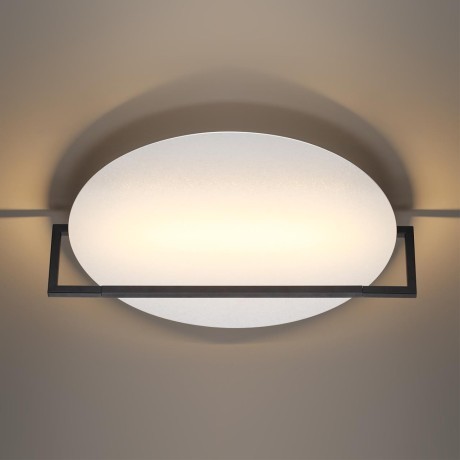 Настенно-потолочный светильник LED поворотный 360° Odeon Light LUNAR 7015/20WL