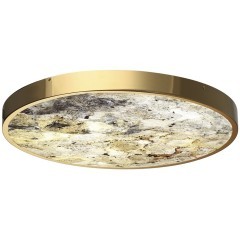 Настенно-потолочный светильник ODEON LIGHT BERGI 5079/50L