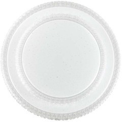 Светодиодный настенно-потолочный светильник с пультом Floors 2041/EL